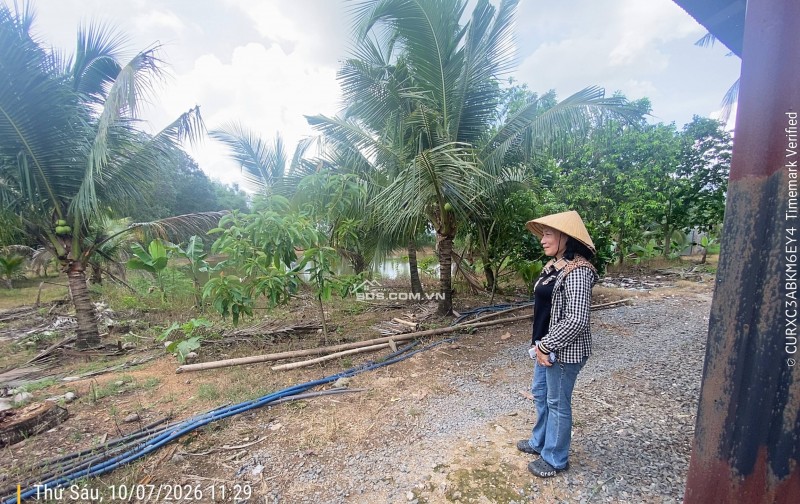 Đất nhà vườn và sinh thái Ngân hàng thanh lý giá rẻ